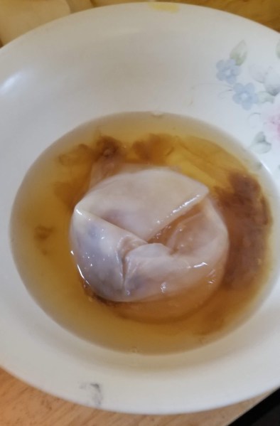 Kombucha-Scoby