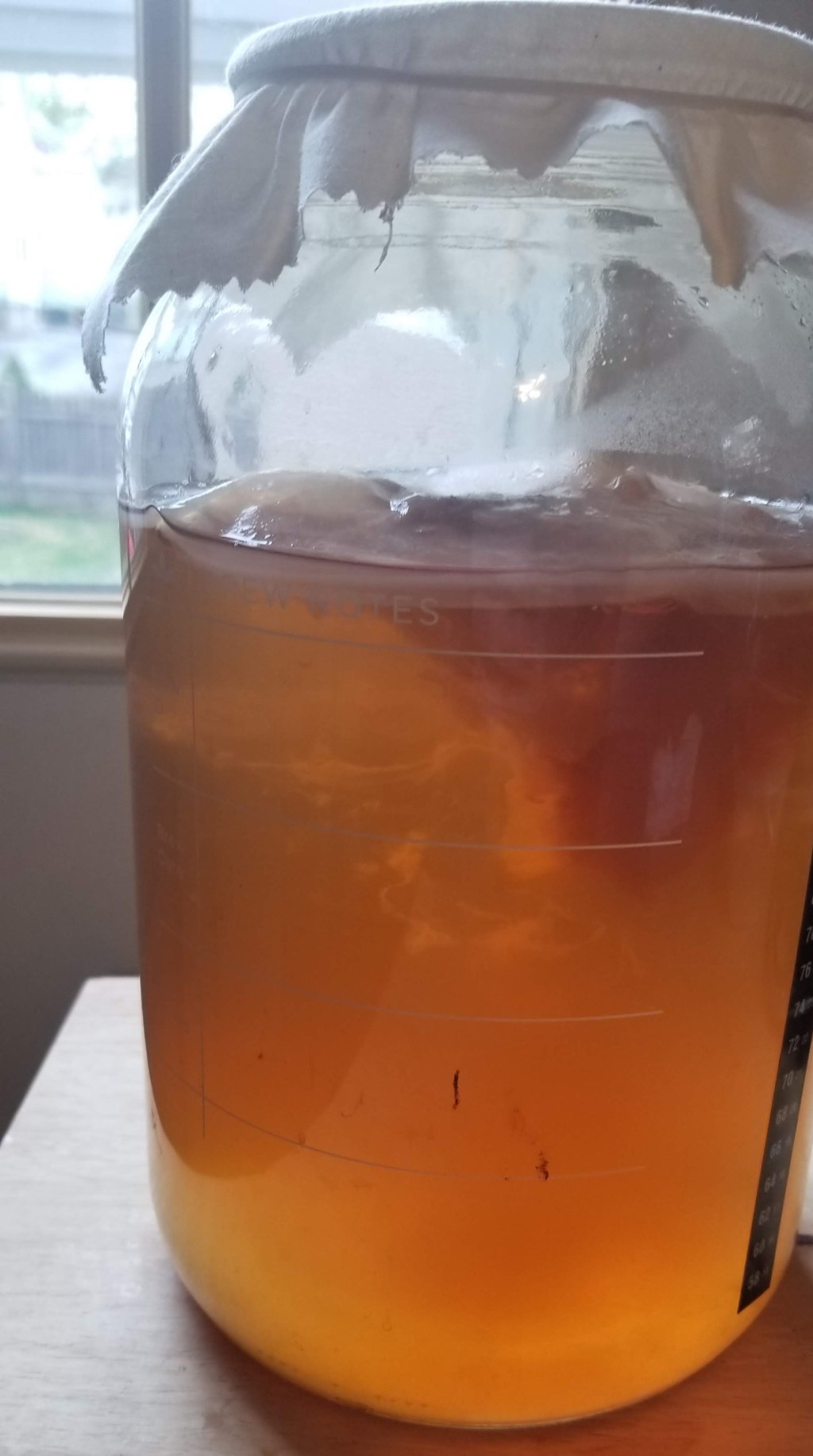 Kombucha Cost Hacking – Brew Your&nbsp;Own
