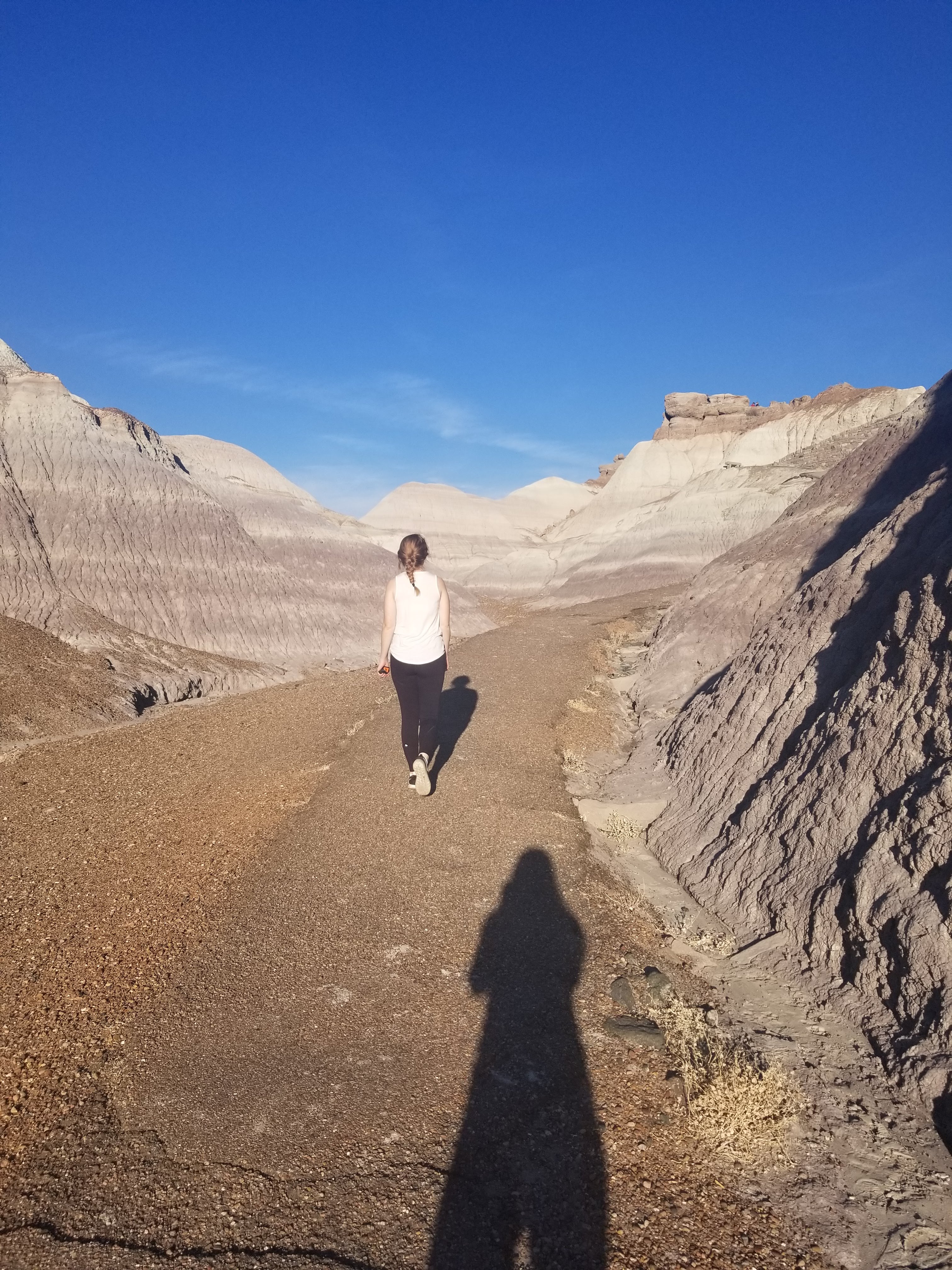 walking-blue-mesa-trail-petrified-forest-painted-desert