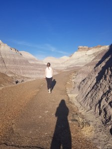 walking-blue-mesa-trail-petrified-forest-painted-desert