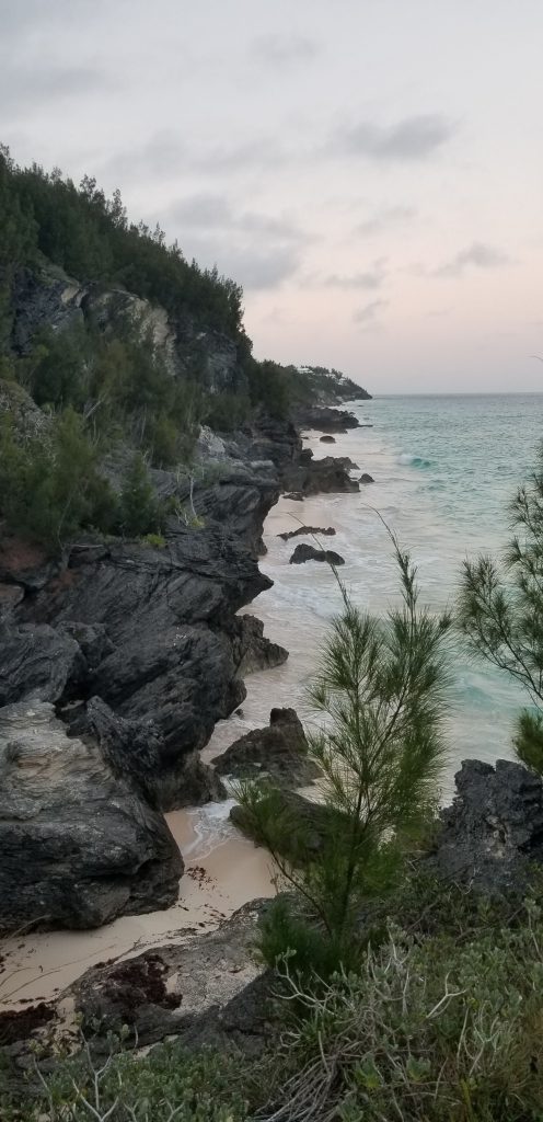 view-astwood-park-bermuda